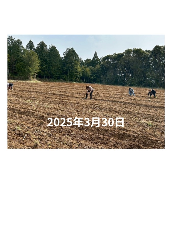 2025年3月30日