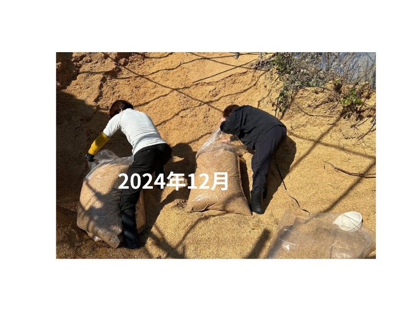 2024年12月
