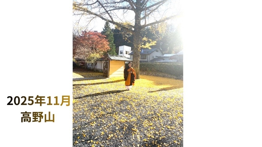 高次の力　ℹ︎エネルギーの世界